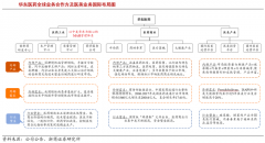 競爭戰(zhàn)略策劃之戰(zhàn)略集團六大戰(zhàn)略利益謀取（下）